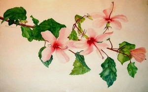 Hibiscus rose de Annie Devergnas-Dieumegard